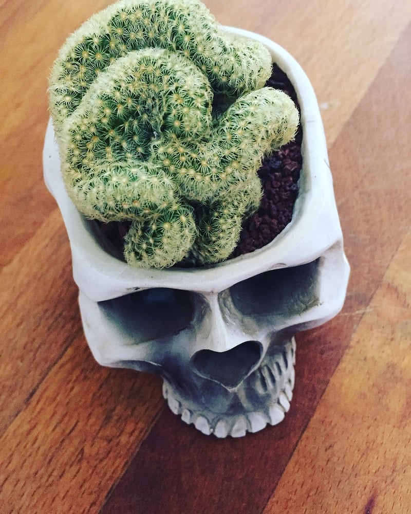 Quirky Ornaments