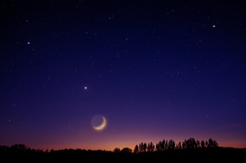 Whimsical Night